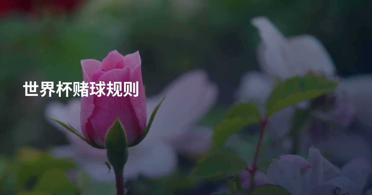 世界杯赌球规则