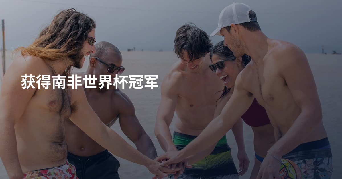 获得南非世界杯冠军