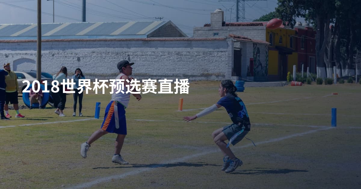2018世界杯预选赛直播