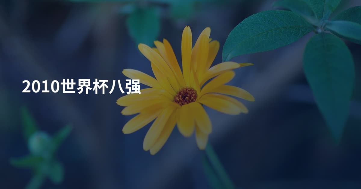 2010世界杯八强