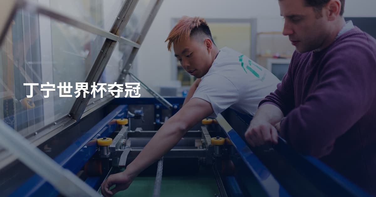 丁宁世界杯夺冠