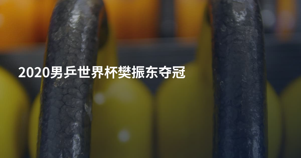 2020男乒世界杯樊振东夺冠