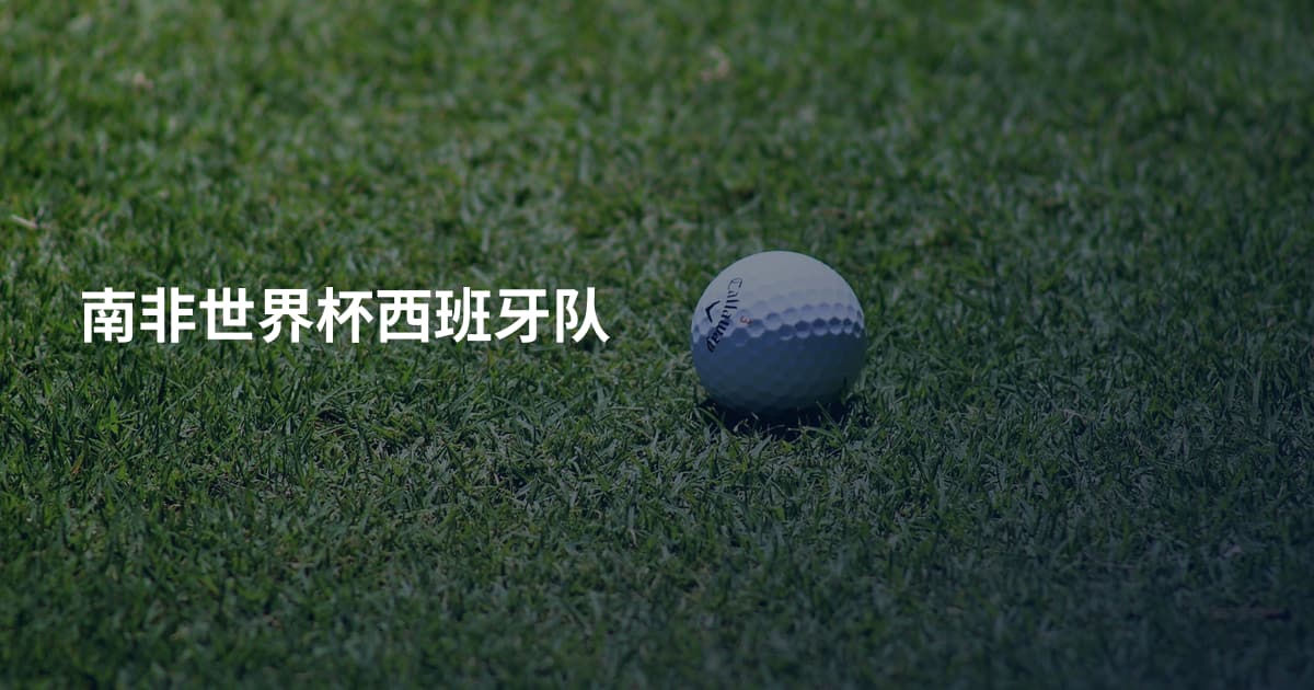 南非世界杯西班牙队