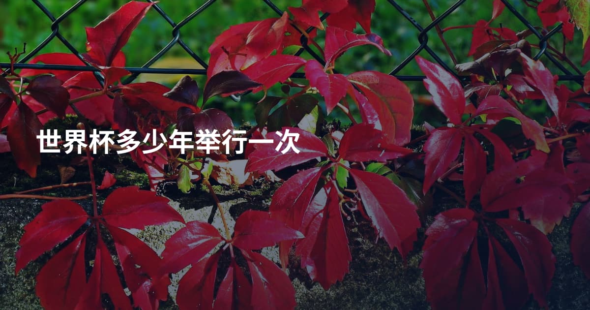 世界杯多少年举行一次