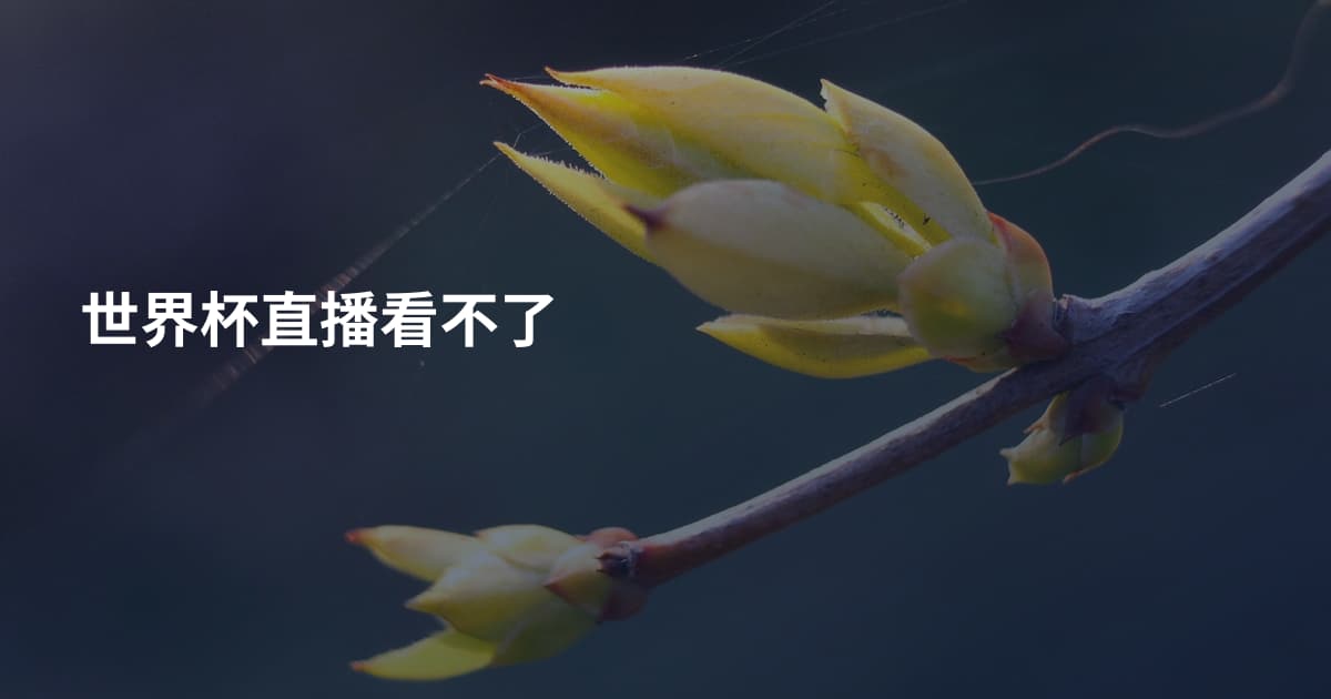 世界杯直播看不了
