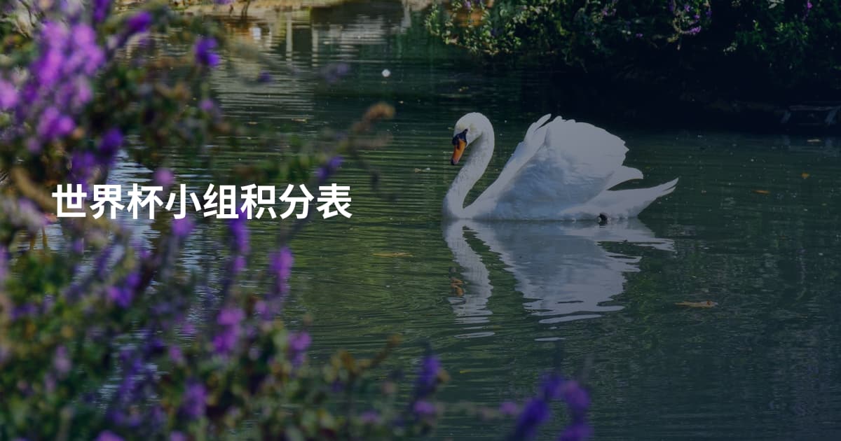 世界杯小组积分表
