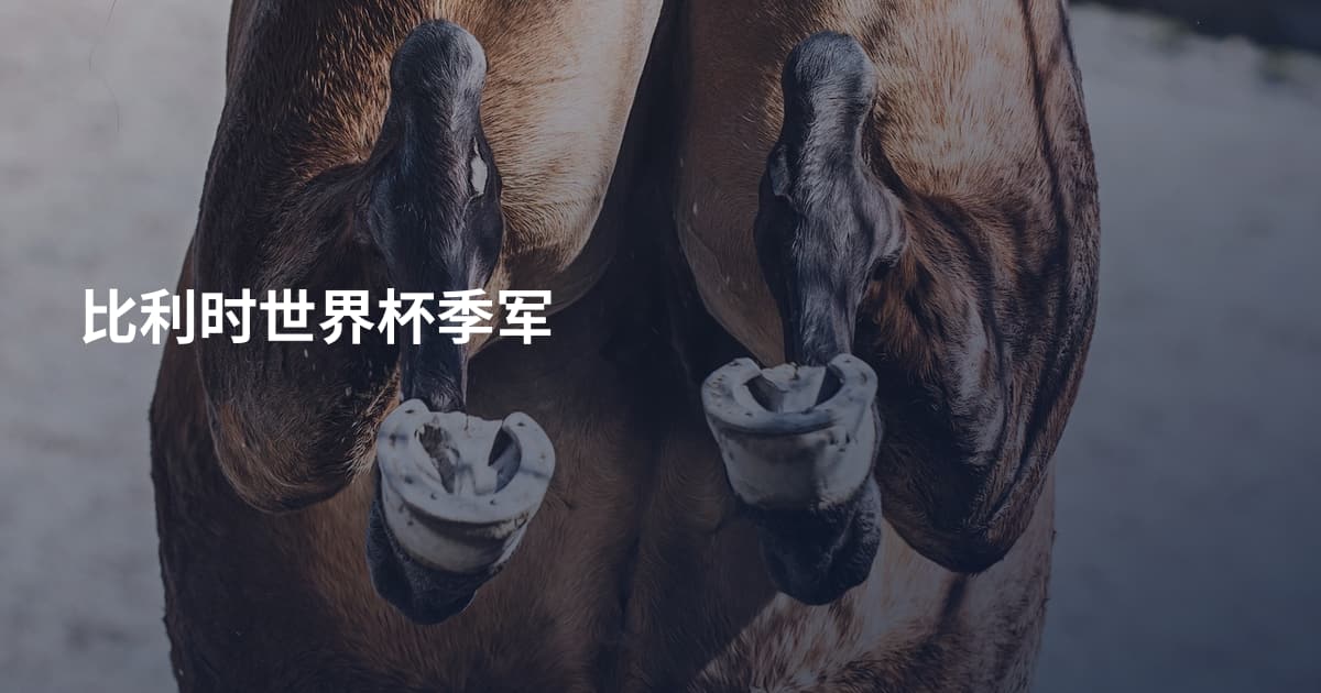 比利时世界杯季军