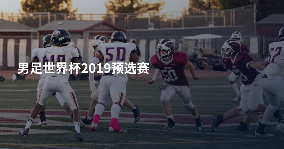 男足世界杯2019预选赛