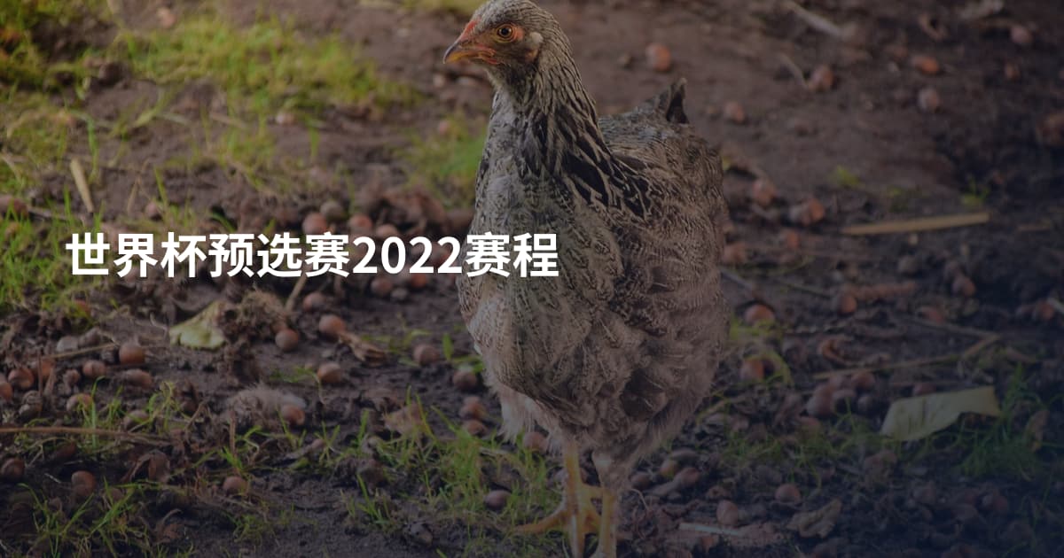 世界杯预选赛2022赛程