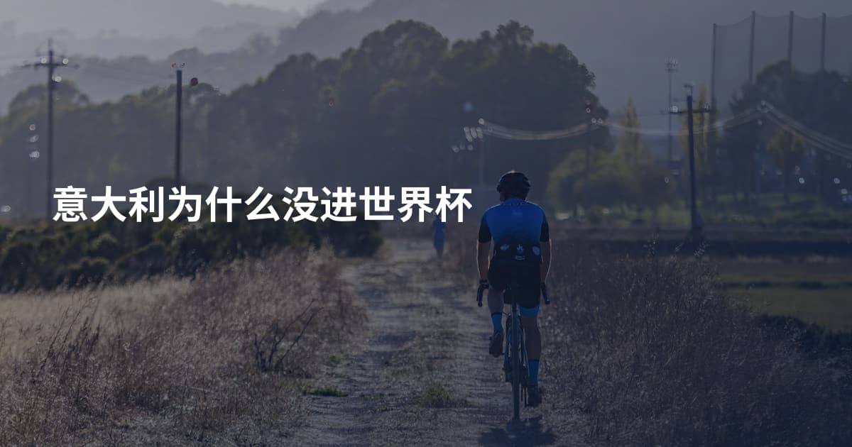 意大利为什么没进世界杯