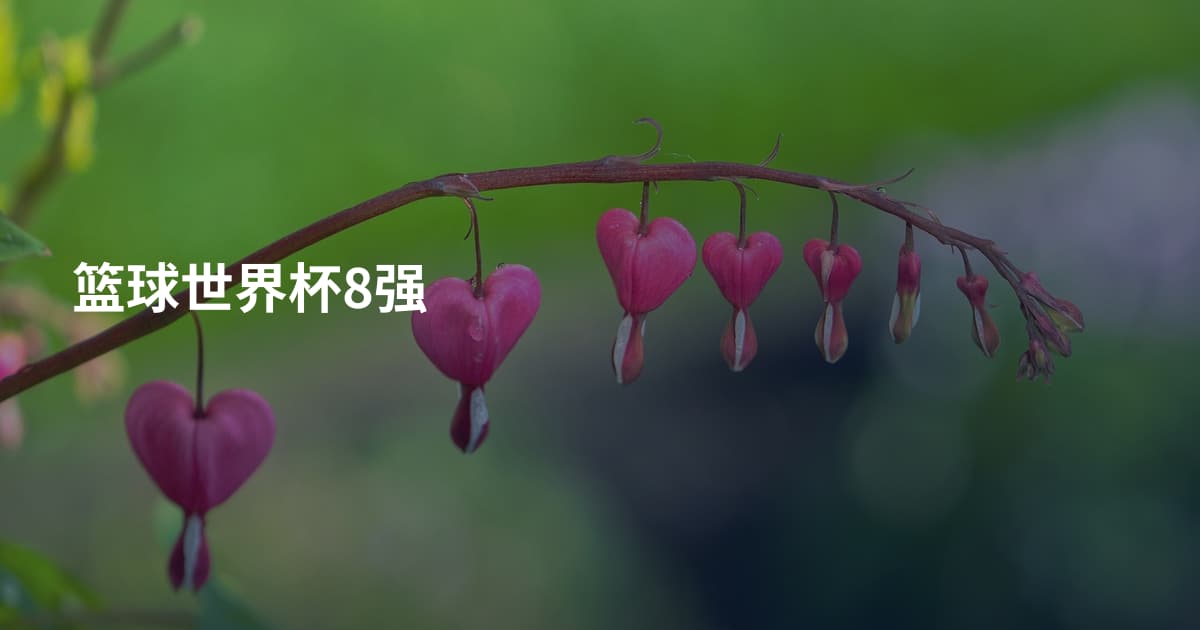 篮球世界杯8强