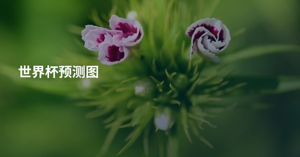 世界杯预测图