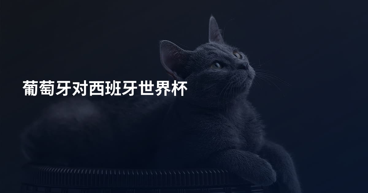 葡萄牙对西班牙世界杯