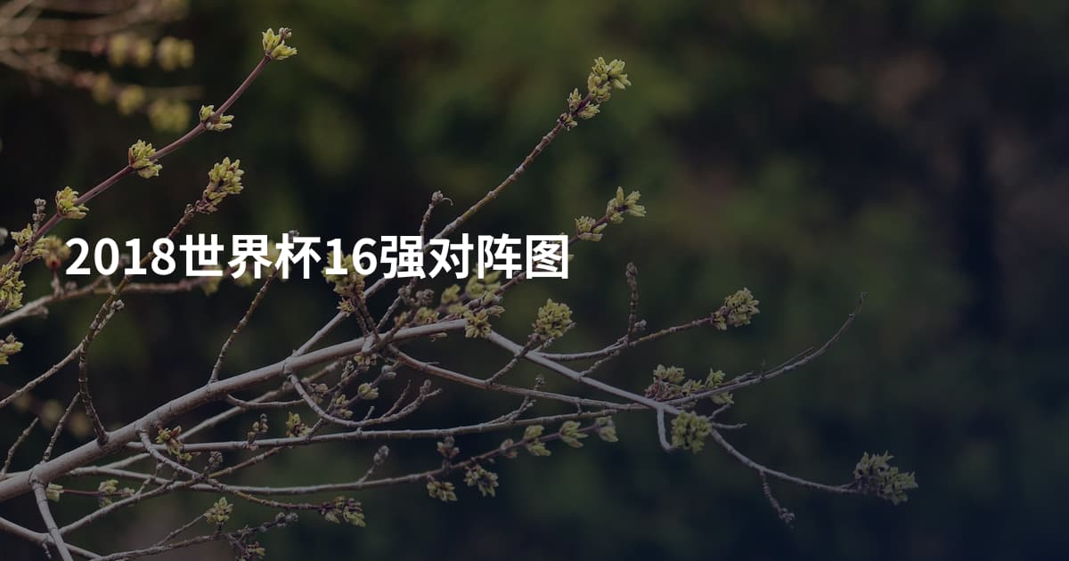 2018世界杯16强对阵图