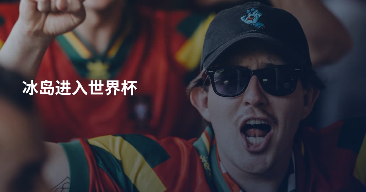 冰岛进入世界杯