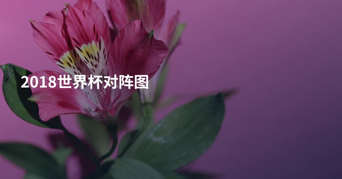 2018世界杯对阵图