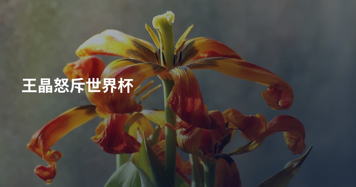 王晶怒斥世界杯