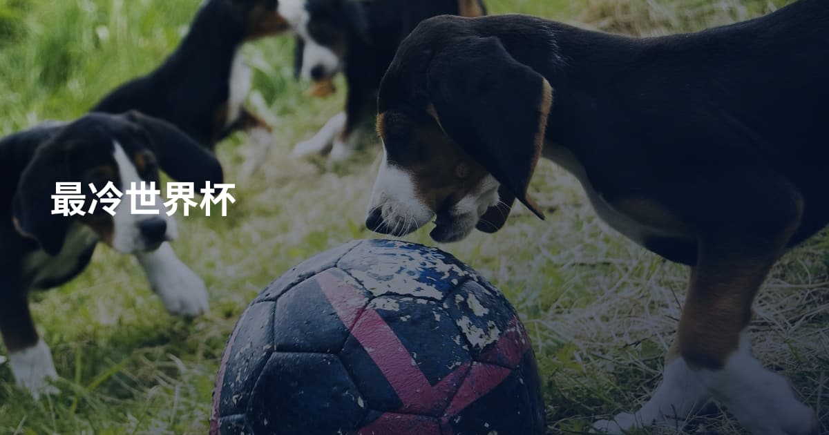 最冷世界杯