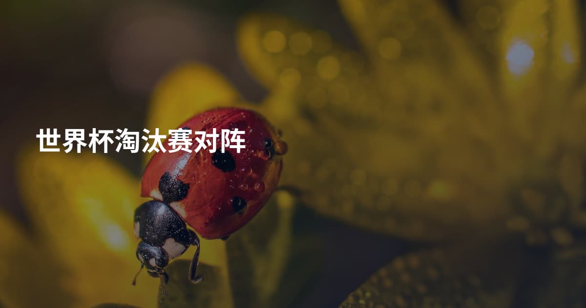世界杯淘汰赛对阵