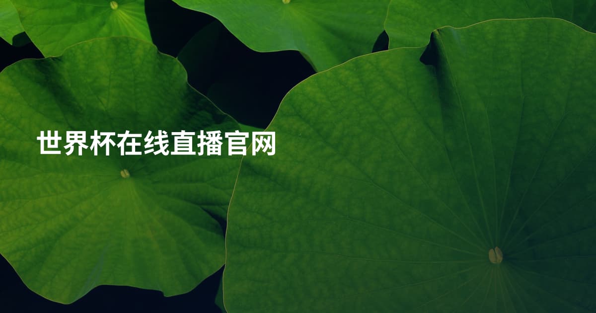 世界杯在线直播官网
