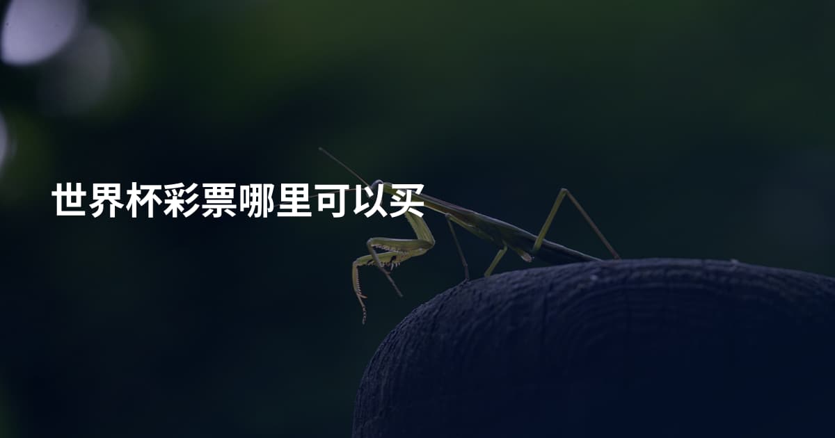 世界杯彩票哪里可以买