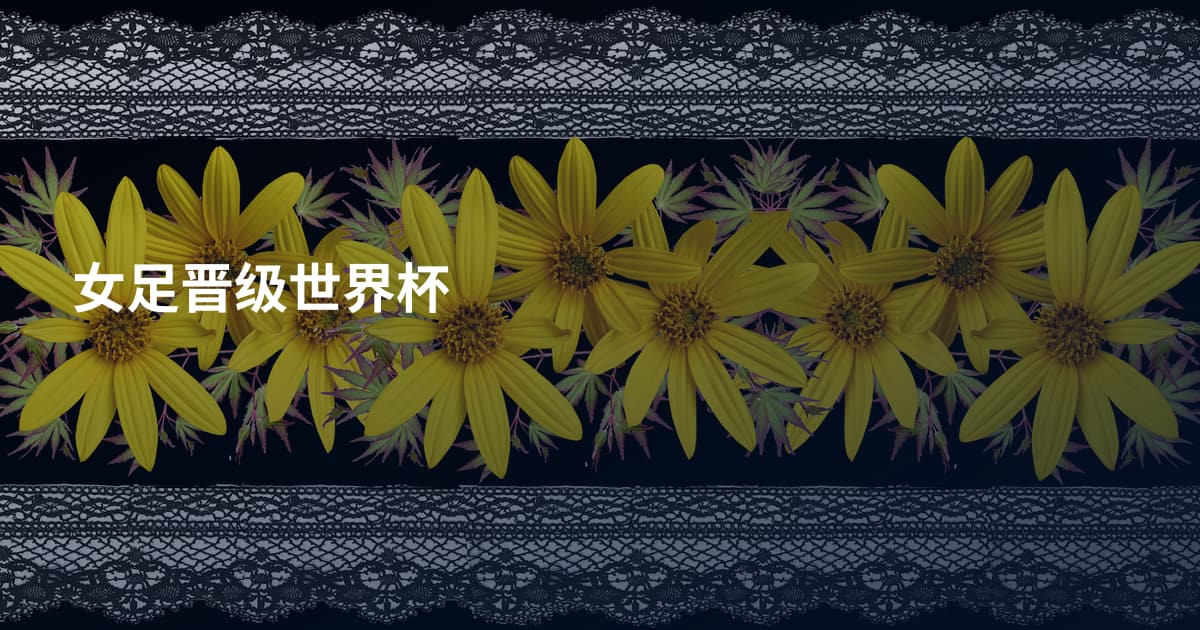 女足晋级世界杯