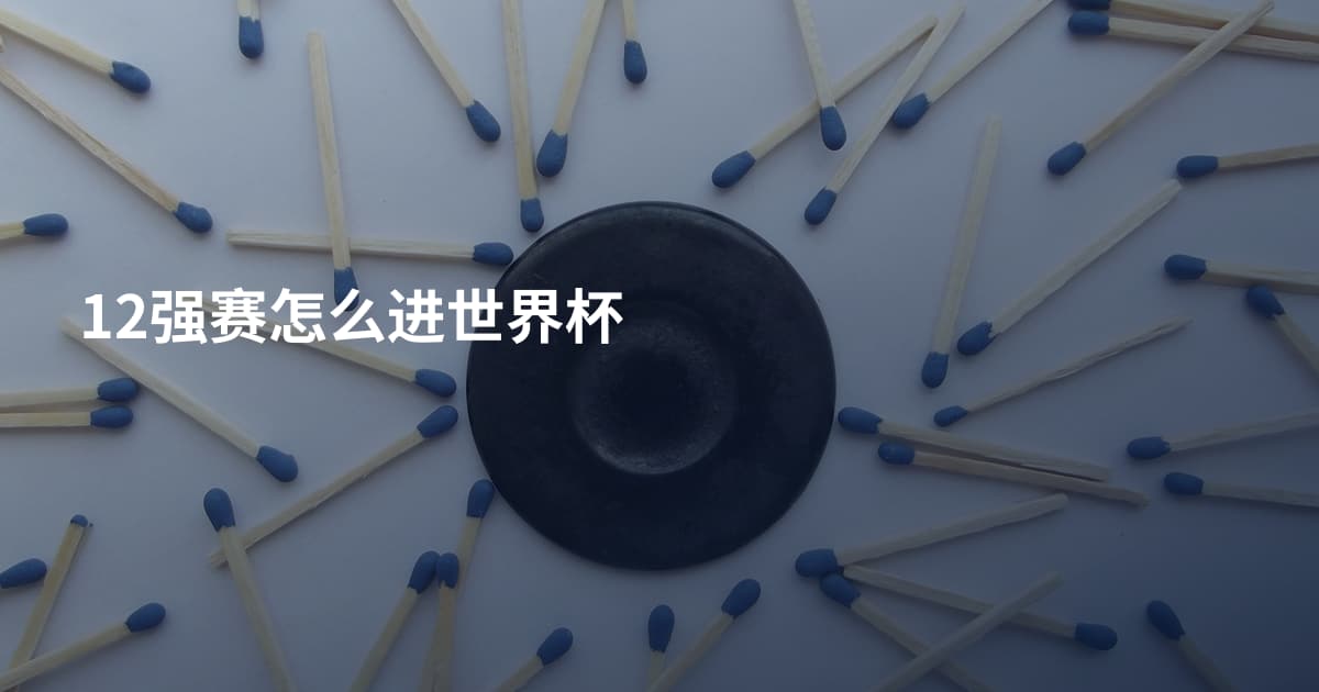 12强赛怎么进世界杯