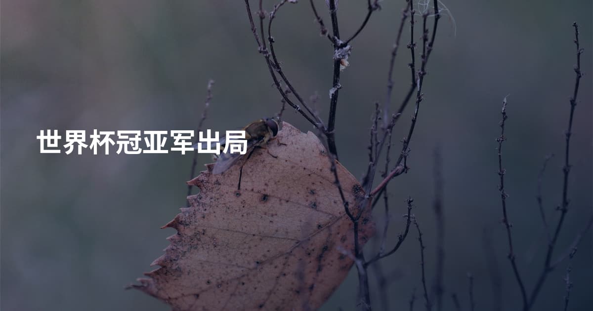 世界杯冠亚军出局