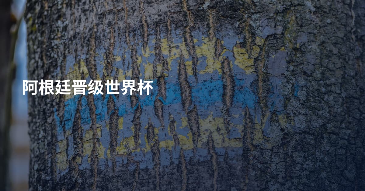 阿根廷晋级世界杯