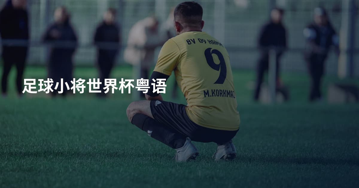 足球小将世界杯粤语