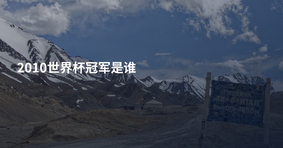 2010世界杯冠军是谁