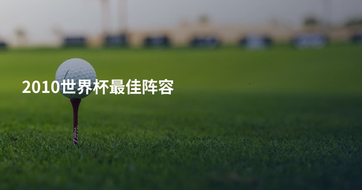 2010世界杯最佳阵容
