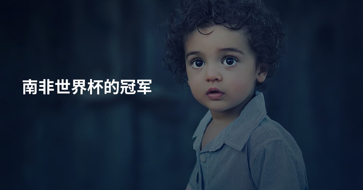 南非世界杯的冠军