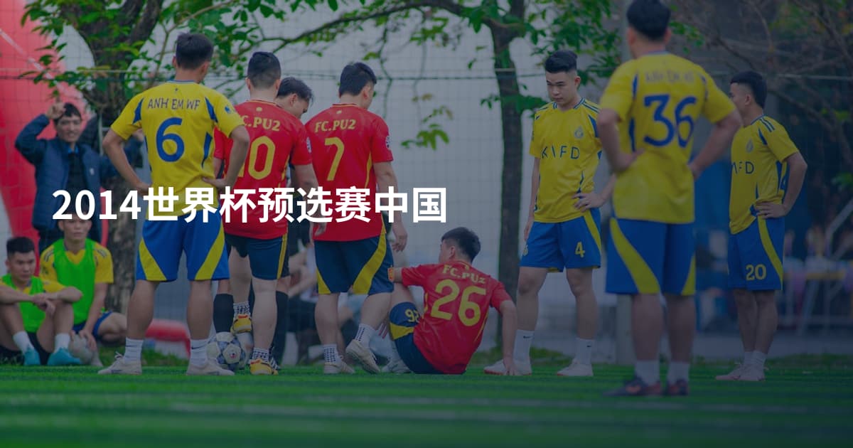 2014世界杯预选赛中国