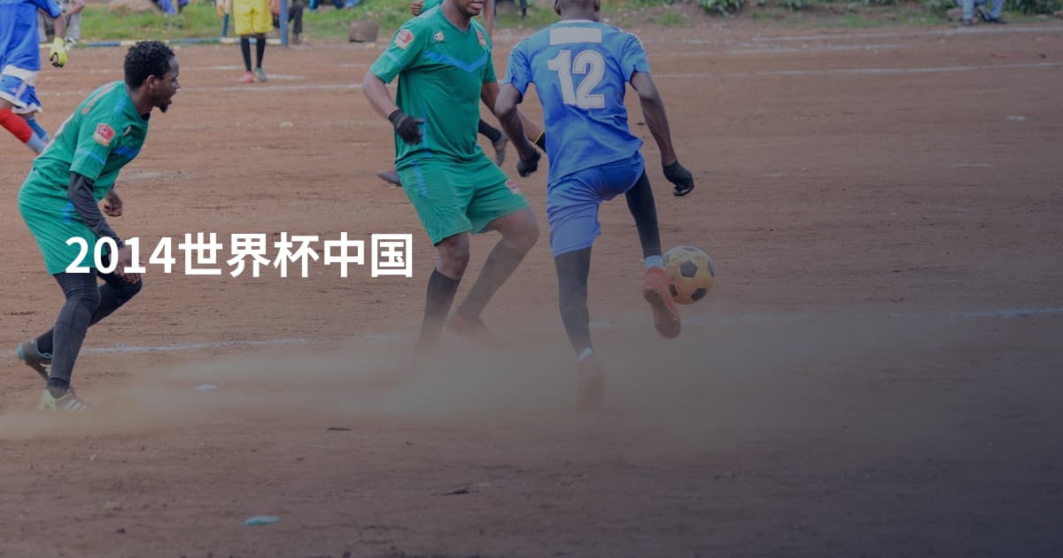 2014世界杯中国