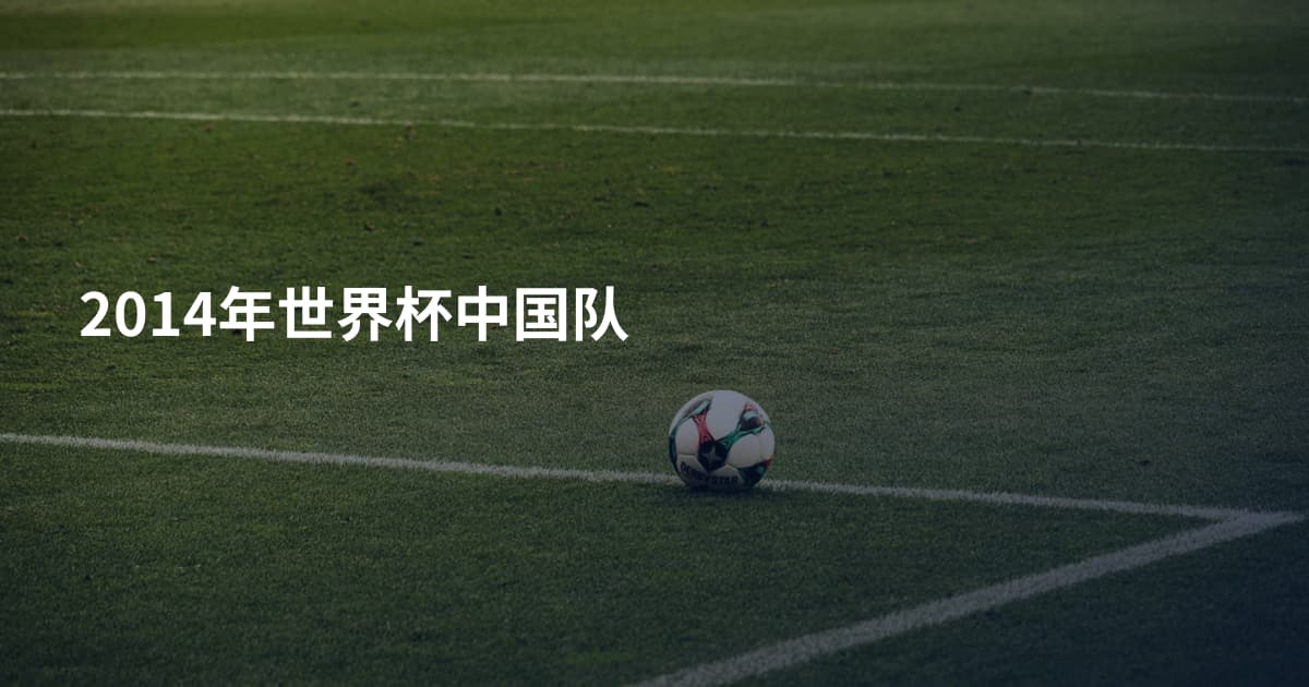2014年世界杯中国队