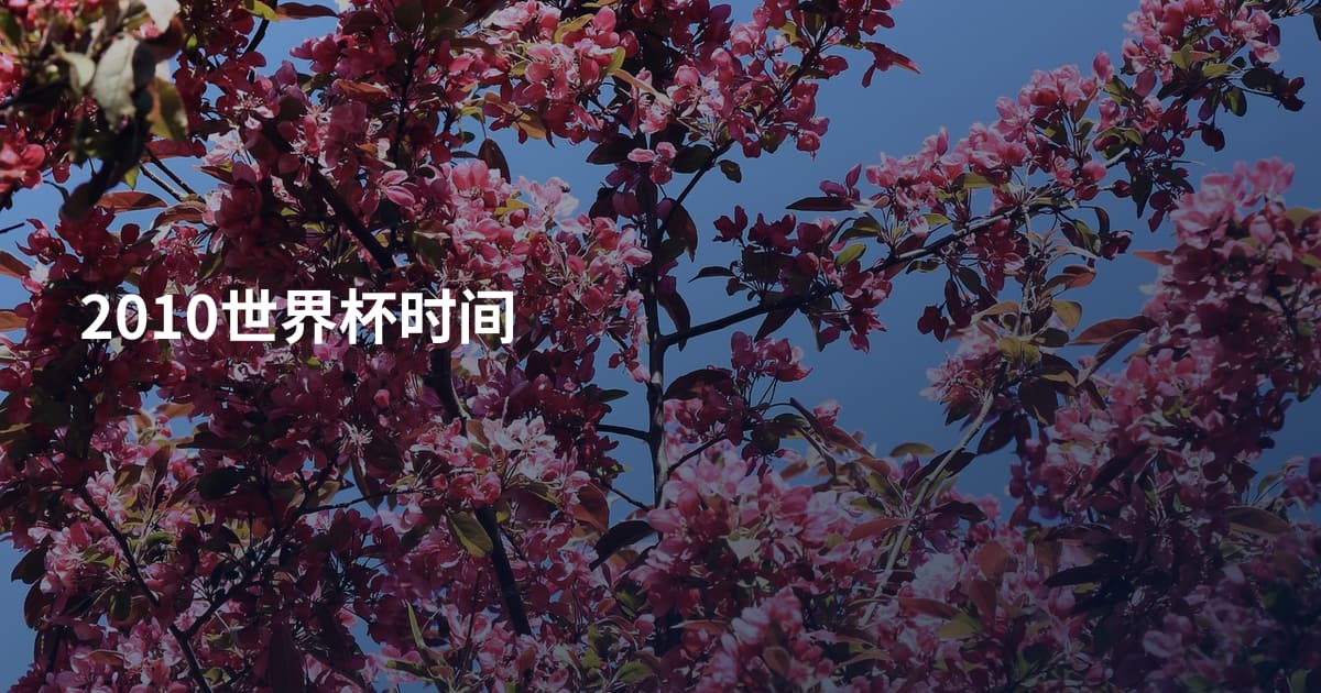2010世界杯时间