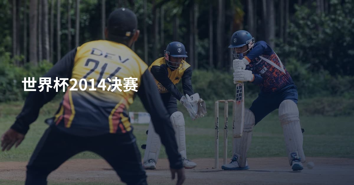 世界杯2014决赛