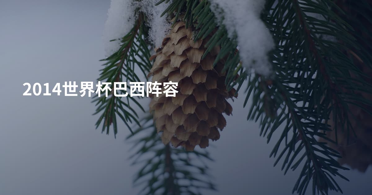 2014世界杯巴西阵容