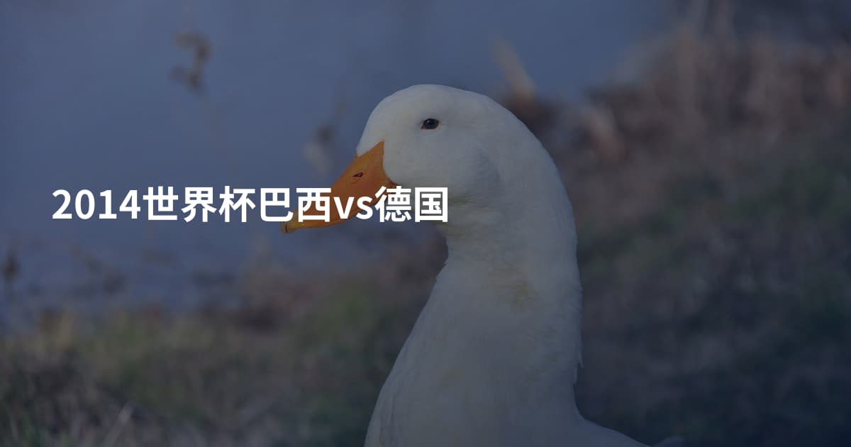 2014世界杯巴西vs德国