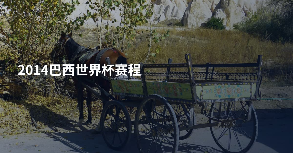 2014巴西世界杯赛程