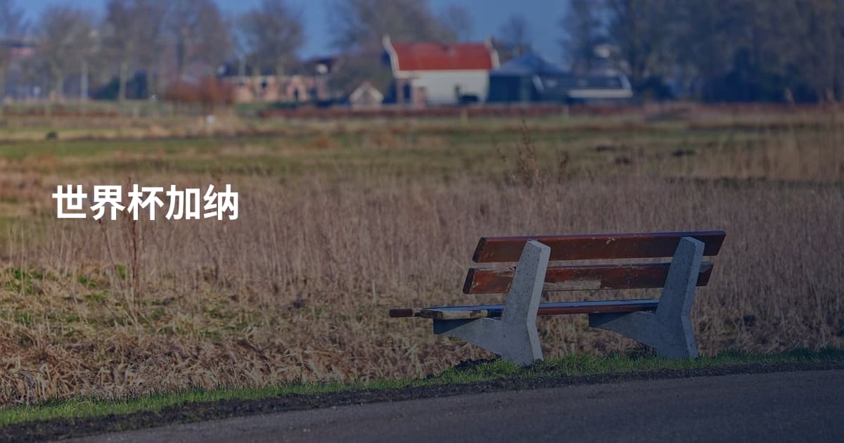 世界杯加纳