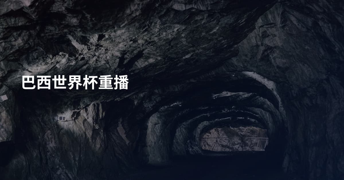 巴西世界杯重播
