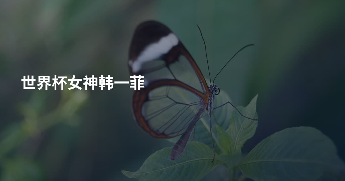 世界杯女神韩一菲