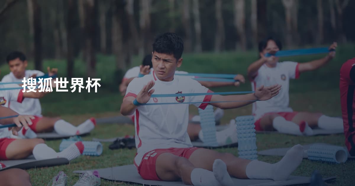 搜狐世界杯