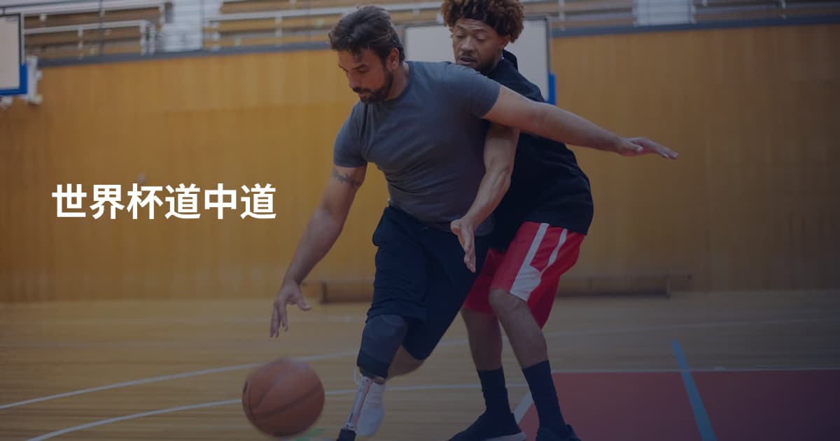 世界杯道中道
