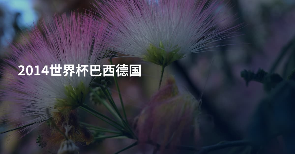 2014世界杯巴西德国