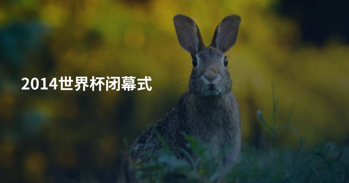 2014世界杯闭幕式
