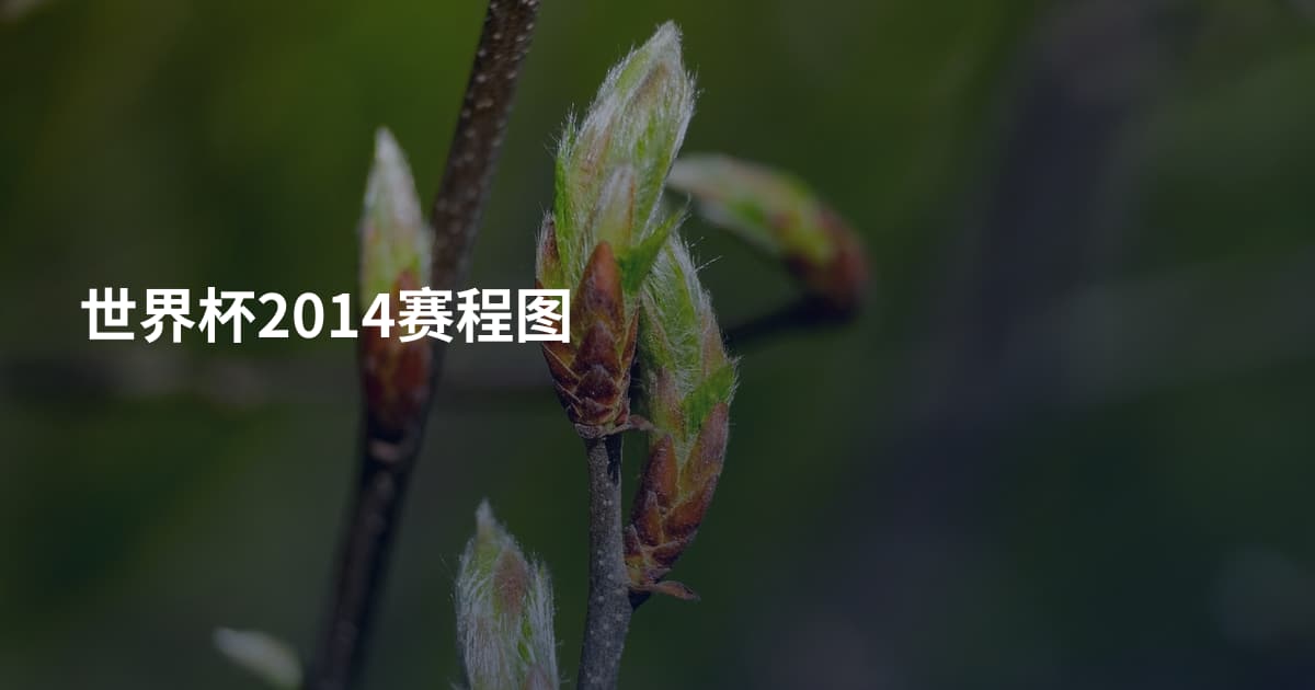 世界杯2014赛程图