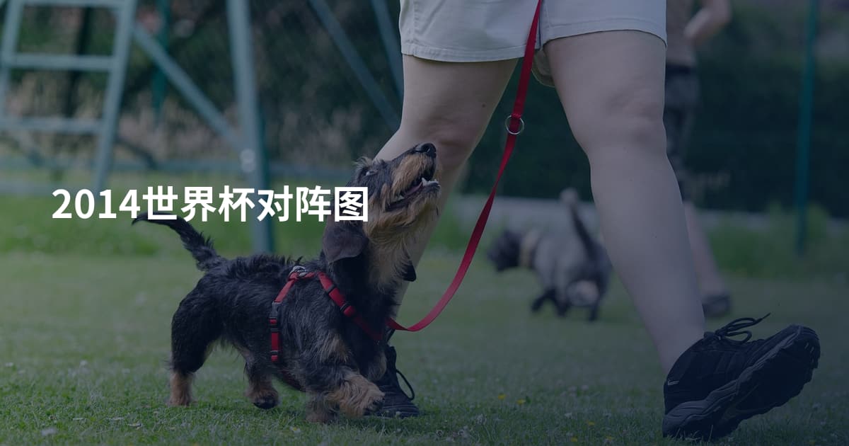 2014世界杯对阵图